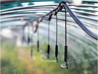 Conjunt de mini aspersors penjants